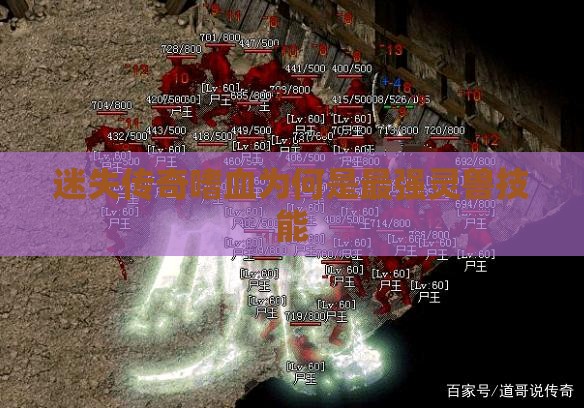 迷失传奇嗜血为何是最强灵兽技能